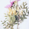 bloemen2